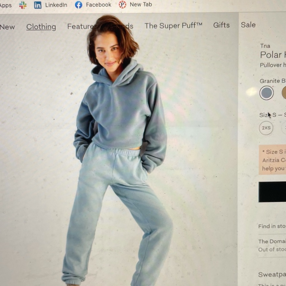 Aritzia TNA Polar Hoodie - Picture 1 of 4